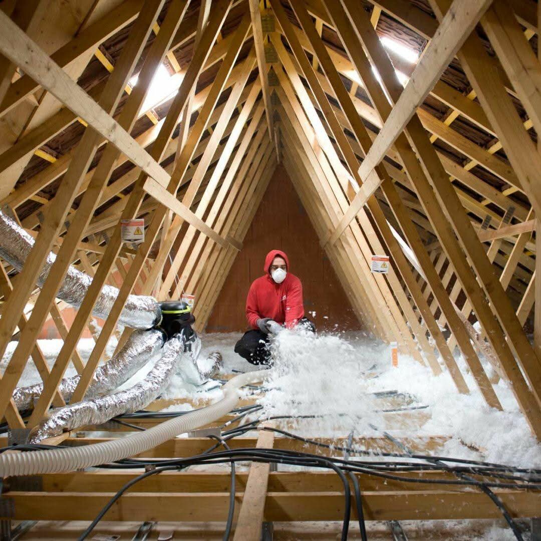 Technicien professionnel